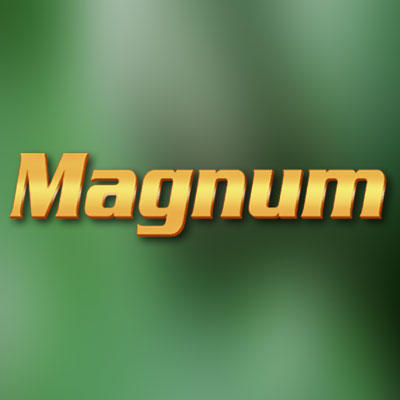 Magnum - Sendung - RTLup