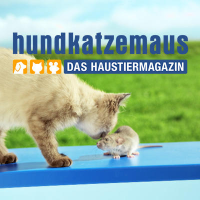 hundkatzemaus - Sendung - RTLup