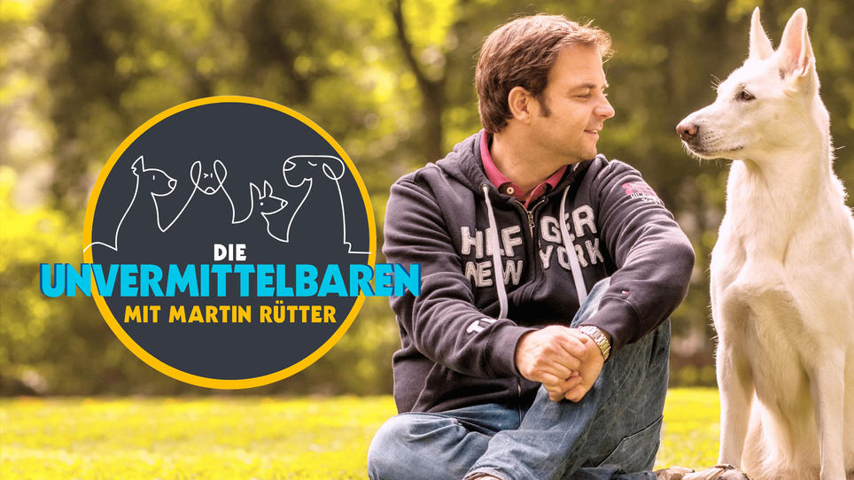 Die Unvermittelbaren - Mit Martin Rütter - Sendung - RTLup